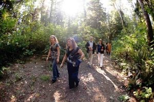 Guided Nature Walk