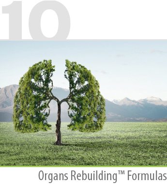 organ-rebuilding-formulas Organs Rebuilding™ Formulas