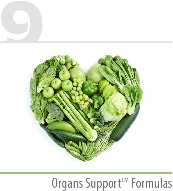 organ-support-formulas Organs Support™ Formulas