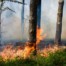 This summer's wildfires increased smoke in your lungs